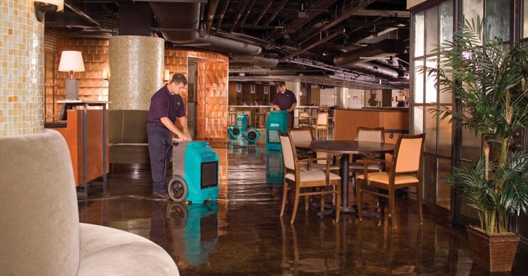 local water damage company Phoenix, AZ